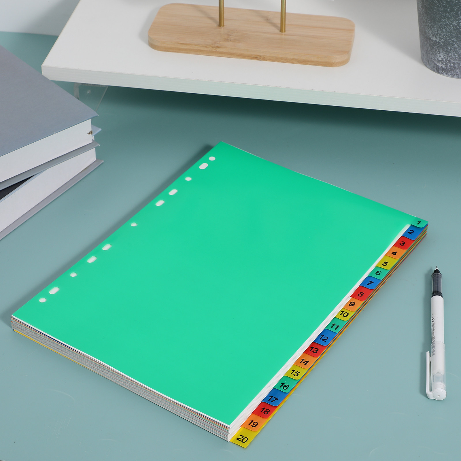 20 Pages A4 Colorful Plastic B - Tab Divider A4 评论和价格