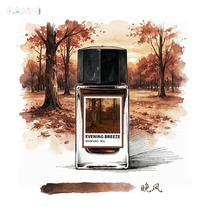 BANMI 10 Color Fountain Pens I - Fountain Pen Bottled Ink 评论和价格
