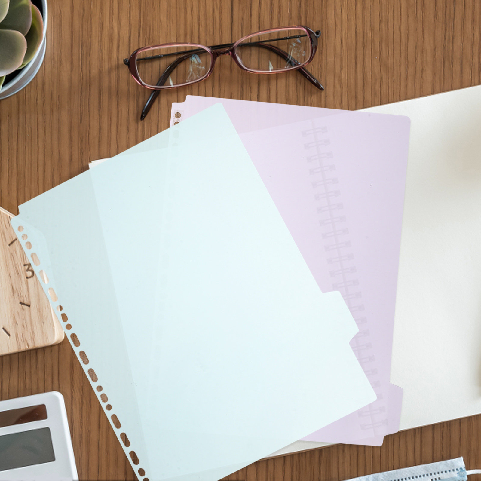 6Pcs Tabbed Binder Dividers A4 - Tab Divider A4 评论和价格