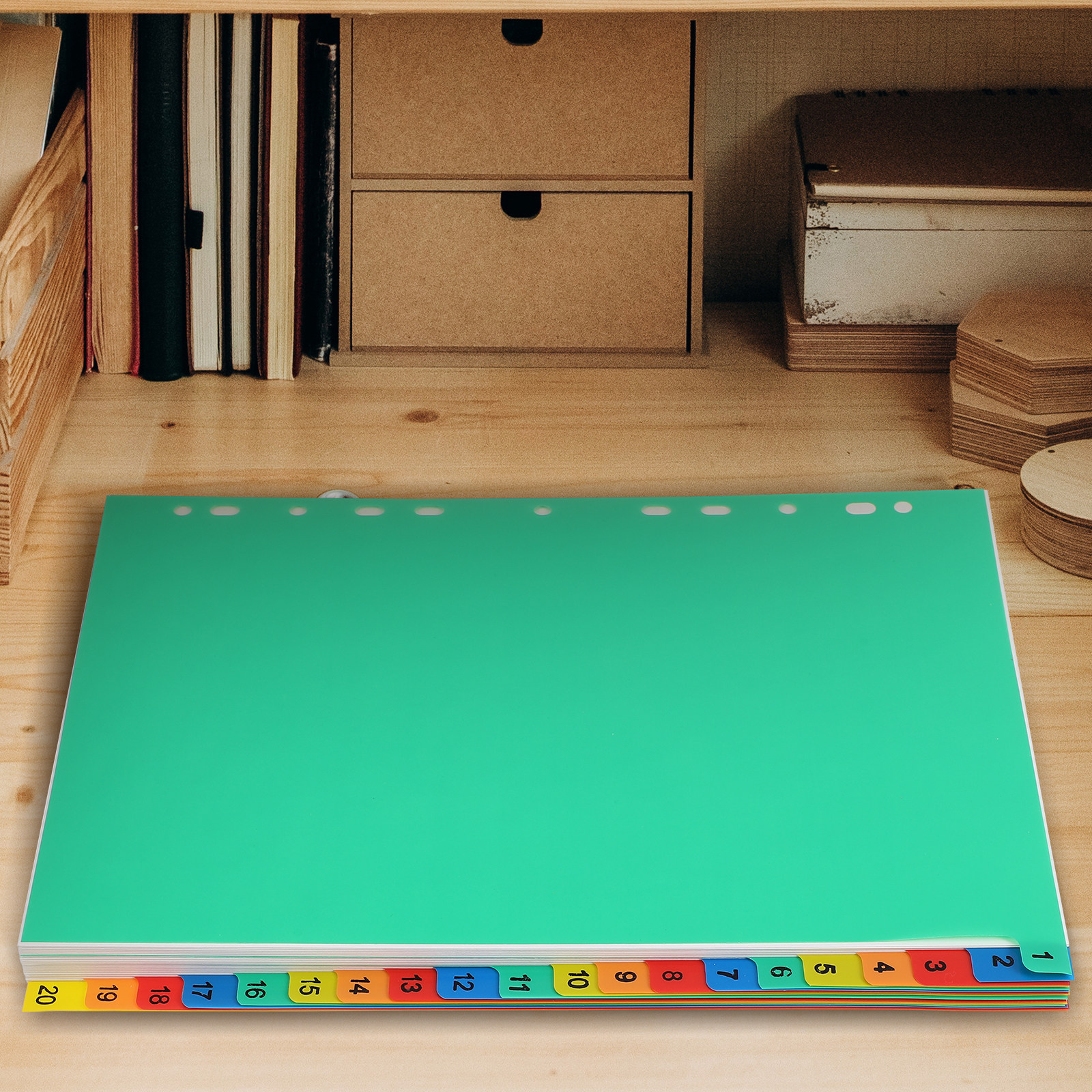 20 Pages A4 Colorful Plastic T - Tab Divider A4 评论和价格