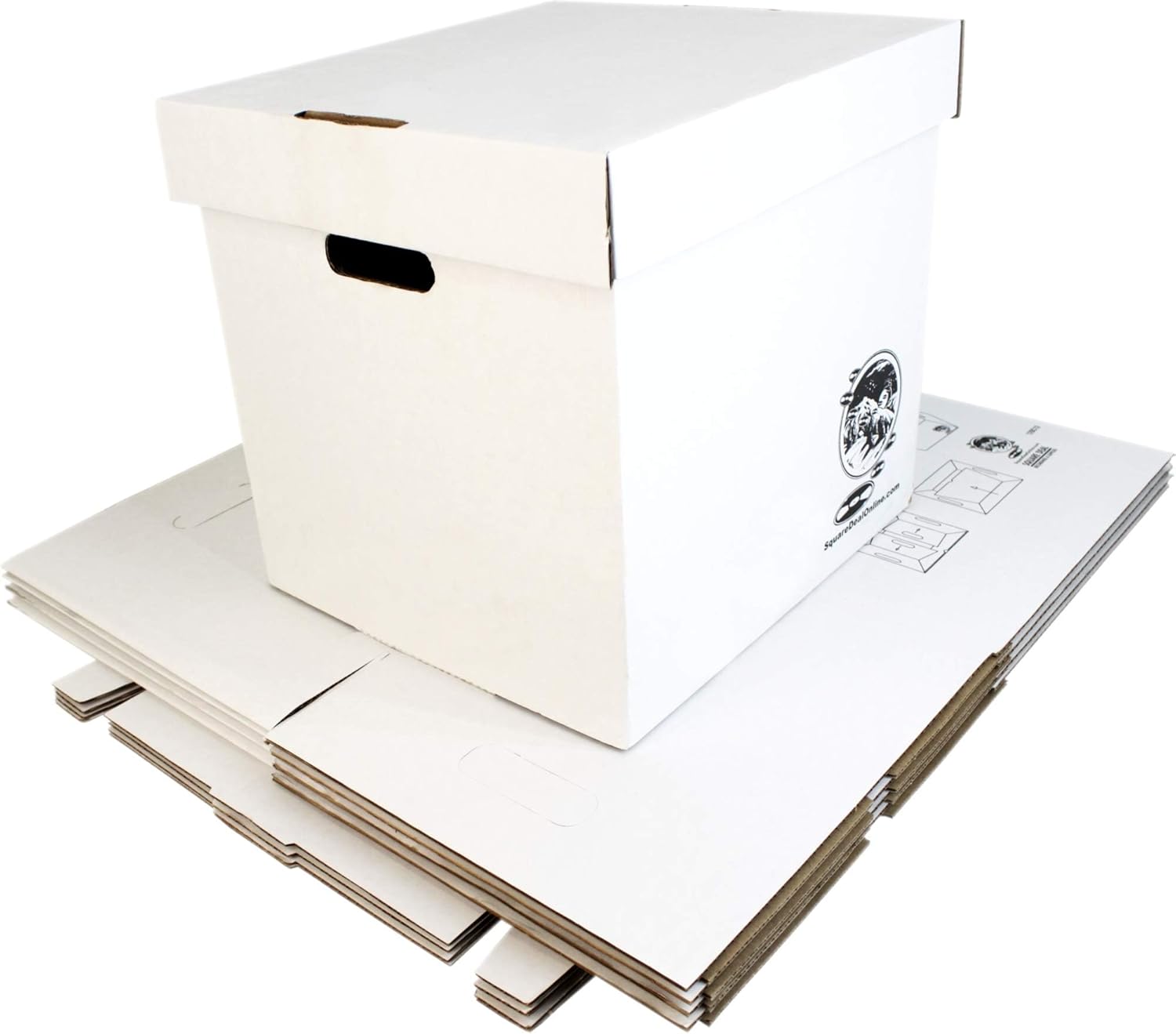 Set of 5 Heavy-Duty 12-Inch Vi - Archive Box Set 评论和价格
