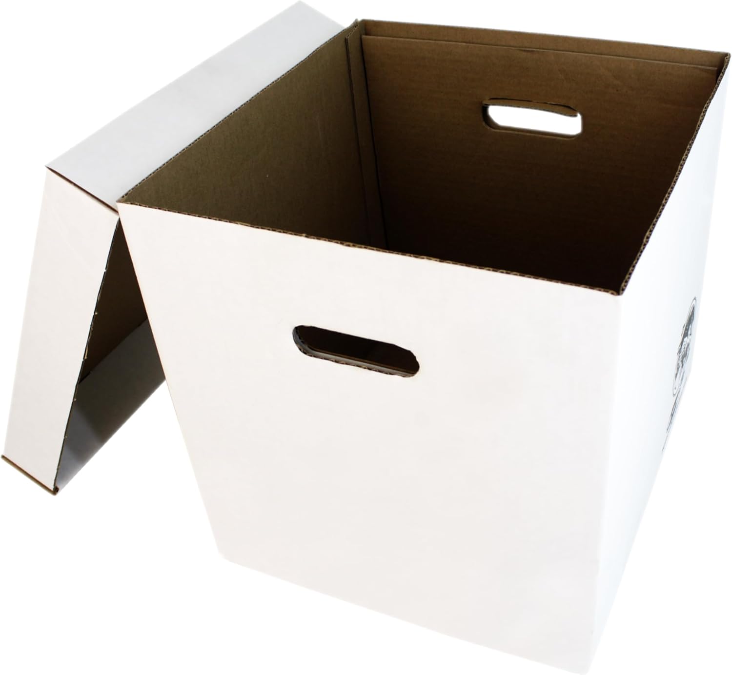 Set of 5 Heavy-Duty 12-Inch Vi - Archive Box Set 评论和价格
