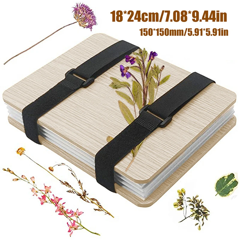 1 Set Plant Specimen Tool Kit  - Ink Blotter Paper 评论和价格