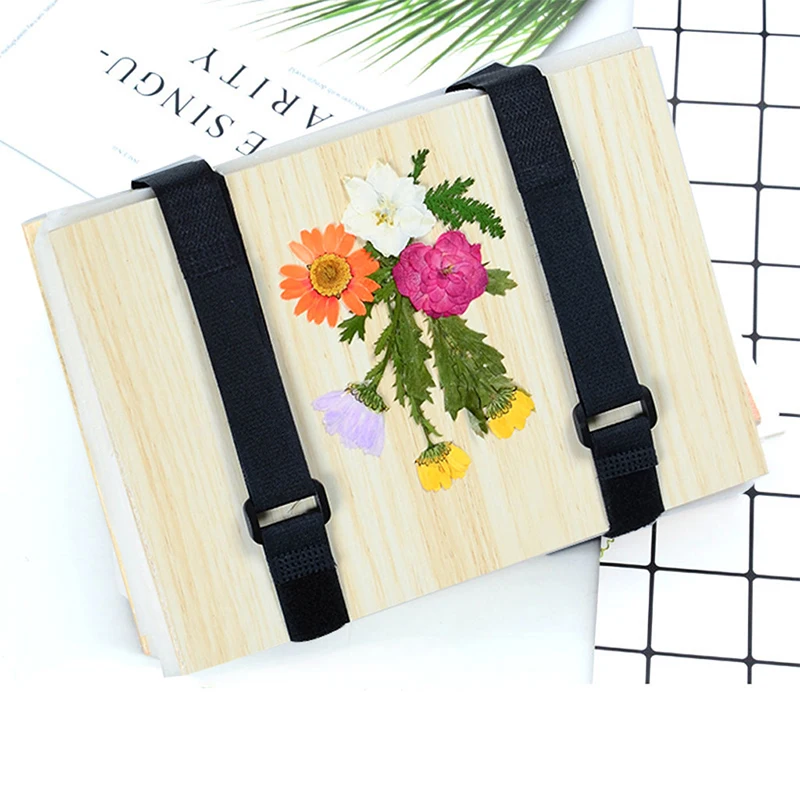 1 Set Plant Specimen Tool Kit  - Ink Blotter Paper 评论和价格