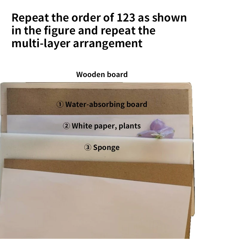 1 Set Plant Specimen Tool Kit  - Ink Blotter Paper 评论和价格